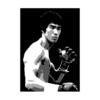 Bruce Lee - Jeet kune Do wandplaat