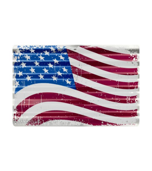 Pool Momentum Zie insecten Amerikaanse vlag - metalen bord 