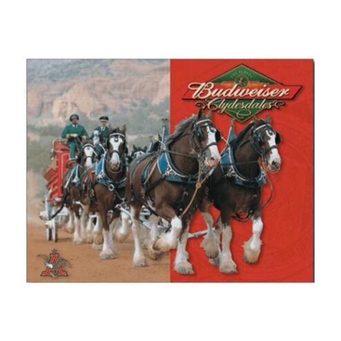 Budweiser horses - metalen bord