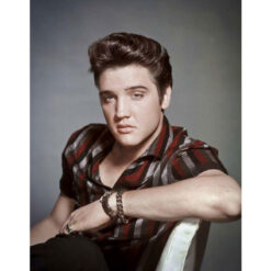 Elvis Presley portret - metalen bord