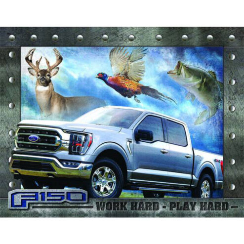 Ford F150 - metalen bord