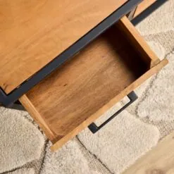 3010 (1)