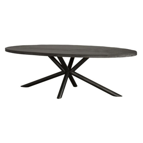 Diego Eettafel ovaal zwart mangohout 200x100