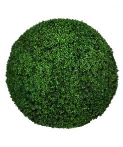 Boxwood Round Medium Green