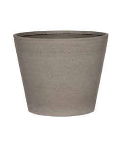Bucket Small Clouded Grey
