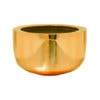 Sunny Medium Platinum Gold