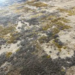 image5 (16)