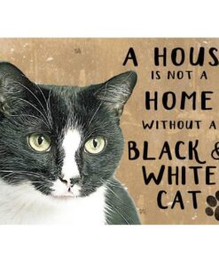 A House is not a Home Black and White Cat - metalen bord