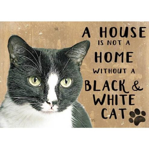 A House is not a Home Black and White Cat - metalen bord