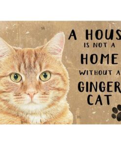 A House is not a Home Ginger Cat - metalen bord