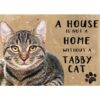 A House is not a Home Tabby Cat - metalen bord