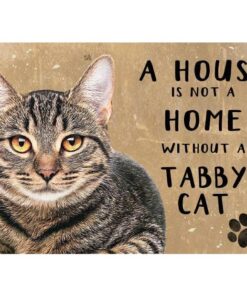 A House is not a Home Tabby Cat - metalen bord