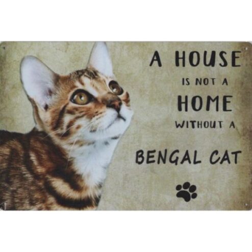 A home Bengal Cat - metalen bord