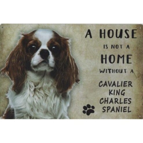 A home Cavalier King Charles Spaniël - metalen bord