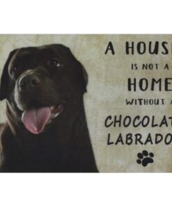 A home Chocolate Labrador - metalen bord