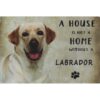 A home Creme Labrador - metalen bord