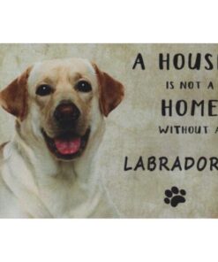 A home Creme Labrador - metalen bord