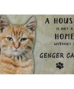 A home Genger Cat - metalen bord