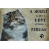 A home Persian Cat - metalen bord