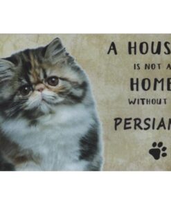 A home Persian Cat - metalen bord