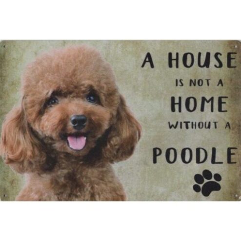 A home Poodle - metalen bord