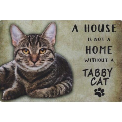 A home Tabby Cat - metalen bord