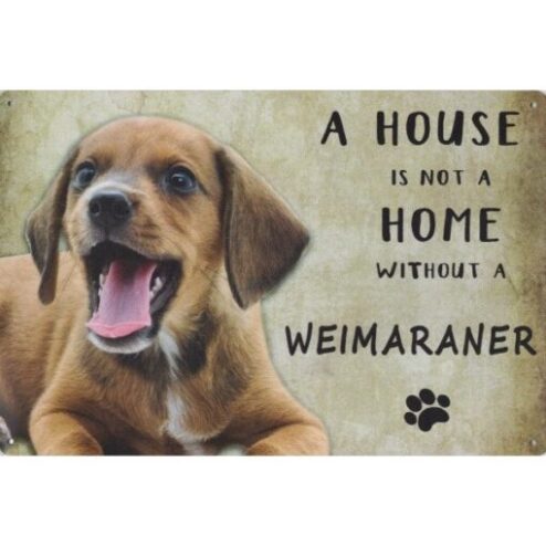 A home Weimaraner - metalen bord