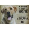 A home White Labrador - metalen bord