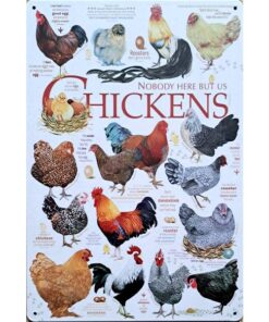Chickens - metalen bord
