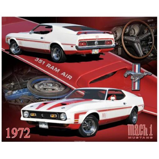 FORD MUSTANG MACH 1 1972 - metalen bord