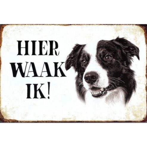 Hier Waak ik - Border Collie - metalen bord