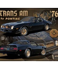 PONTIAC TRANS AM 1976 - metalen bord