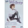 Whitney Houston - metalen bord