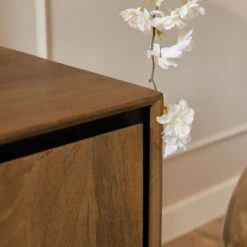 Sindacco Tv meubel Mangohout 120 cm (1)