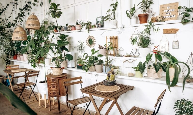 Biophilic Design: De groene interieurtrend