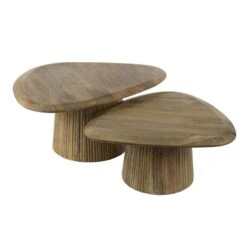 Jean Salontafel set van 2 driehoekig Mangohout