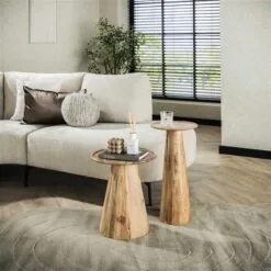 Elan Bijzettafel set van 2 Acaciahout