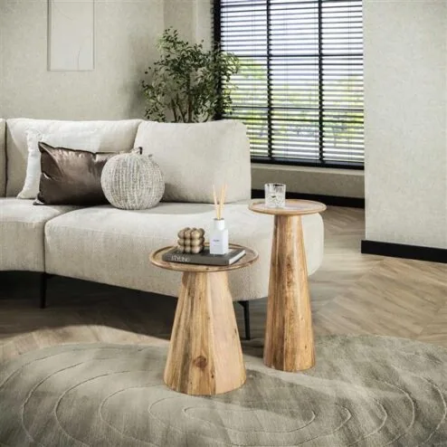 Elan Bijzettafel set van 2 Acaciahout