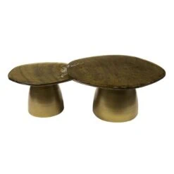 Nova Salontafel set van 2 Goud / Glas