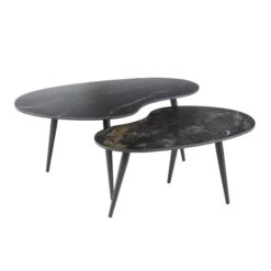 Fira Salontafel set van 2 Niervorm Zwart Keramiek