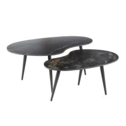 Fira Salontafel set van 2 Niervorm Zwart Keramiek