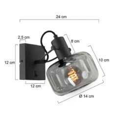 Lior 1-lichts Wandlamp Zwart Smoke Glas