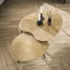 Rivo Salontafel set van 2 Niervorm Brons