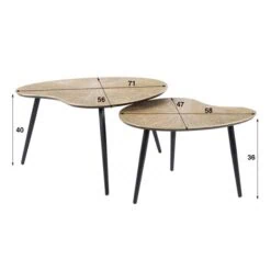 Rivo Salontafel set van 2 Niervorm Brons