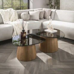 Dominick Salontafel set van 2 driehoekig Brons glas