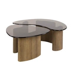 Dominick Salontafel set van 2 organisch Brons glas