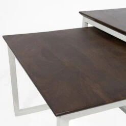 Stella Salontafel set van 2 vierkant Walnoot