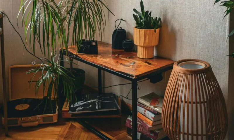 Urban Jungle interieur: zo creƫer je deze woonstijl vol groen en sfeer