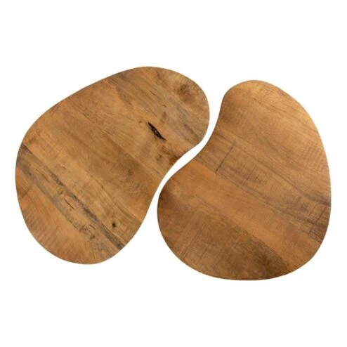Noli Salontafel set van 2 organisch Mangohout