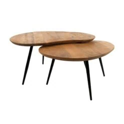 Noli Salontafel set van 2 organisch Mangohout